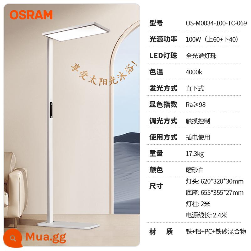 Đèn bảo vệ mắt dọc Osram dành cho trẻ em học tập đặc biệt đọc và viết đèn sàn đèn bàn đèn đường đàn piano quang phổ đầy đủ - Đèn đường C series-100W sắt nghệ thuật 98 độ hoàn màu cao nhiệt độ màu 4000K 304 hạt đèn giống năng lượng mặt trời