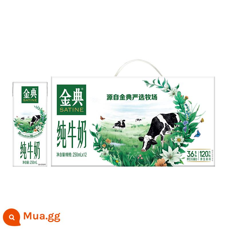 Quà Tết sữa nguyên chất Yili Jindian 250ml*12 hộp full hộp sữa ăn sáng dinh dưỡng dành cho trẻ em, học sinh và người lớn - [Sản xuất tháng 9] Sữa nguyên chất Jindian 250ml * 12 hộp