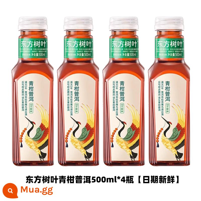 Nongfu Spring Oriental Leaves 500ml trà đóng chai uống trà hoa nhài trà ô long quýt xanh Trà Pu'er - Green Mandarin Pu'er 500ml*4 chai [tươi hạn sử dụng]