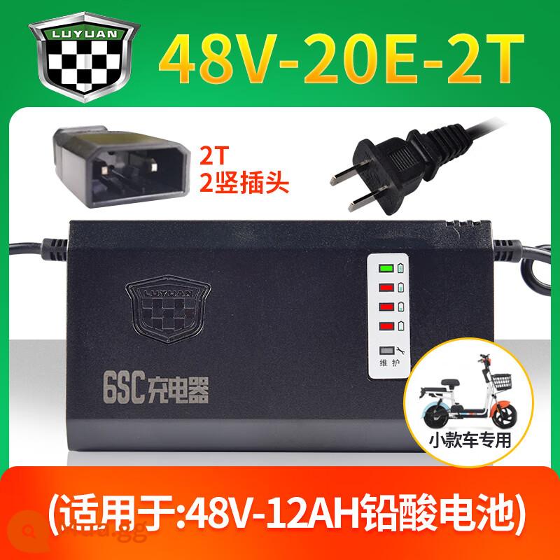 Xe điện Luyuan chính hãng sạc pin axit chì đặc biệt 48V/60V/72V làm mát tự động tóc thẳng - [5 đèn thông minh] 48V-20E-2T