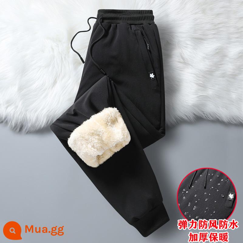 Ấm cộng nhung dày quần thể thao nam mùa đông chống gió và thấm nước quần cotton co giãn áo khoác ngoài cừu nhung giản dị quần cotton dày - Quần legging đen chống gió chống thấm nước 2808