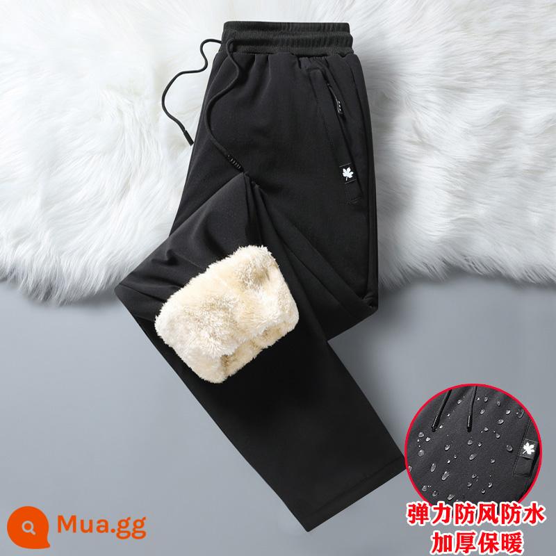 Ấm cộng nhung dày quần thể thao nam mùa đông chống gió và thấm nước quần cotton co giãn áo khoác ngoài cừu nhung giản dị quần cotton dày - Chân phẳng màu đen chống gió và chống thấm nước 2808