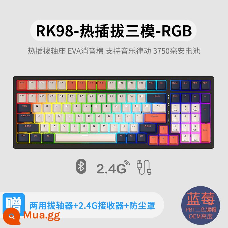 Bàn phím cơ không dây ba chế độ RK98 bluetooth 2.4g chơi game có dây thể thao điện tử RGB bộ tùy chỉnh có thể tráo đổi nóng - Blueberry (RGB) ba chế độ có thể tráo đổi nhanh