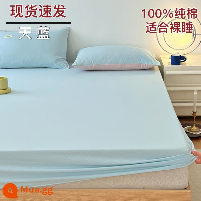 Bộ drap cotton trang bị một mảnh bộ ga trải giường mùa đông 2022 túi đựng nệm Simmons mới cotton nguyên chất ga trải giường cotton đã qua giặt sạch - trời xanh