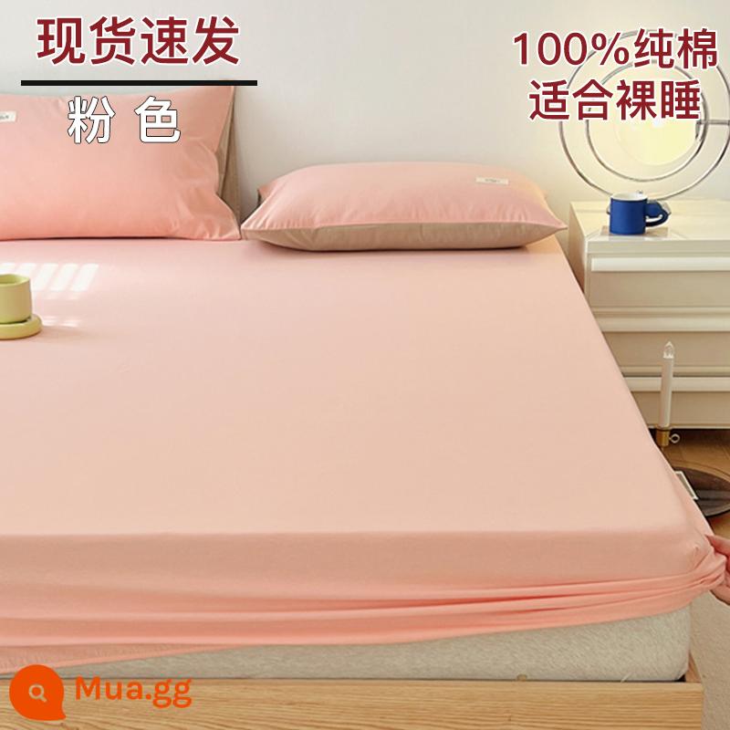 Bộ drap cotton trang bị một mảnh bộ ga trải giường mùa đông 2022 túi đựng nệm Simmons mới cotton nguyên chất ga trải giường cotton đã qua giặt sạch - hồng