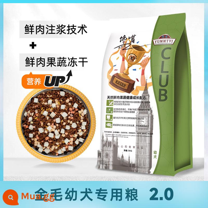 Wilson Glutton Golden Retriever trưởng thành chó vừa và lớn làm đẹp đặc biệt dinh dưỡng tóc thức ăn tự nhiên 30 catties thức ăn cho chó trưởng thành thức ăn cho chó - [Phiên bản 2.0 Puppies] Gà đông khô 5 hạt + lòng đỏ trứng + khoai lang + cà rốt