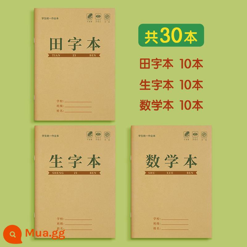 Sách đánh vần từ tiếng Trung dành cho học sinh tiểu học lớp một Sách mẫu giáo đánh vần Tianzige tiêu chuẩn quốc gia thống nhất sách đánh vần bài tập về nhà Sách thực hành bính âm tiếng Trung lớp hai toán học số học lĩnh vực chính tả bài tập đặc biệt - Ký tự Tian + ký tự mới + sách toán (mỗi cuốn 10 cuốn) [Bộ ghép lớp 2]