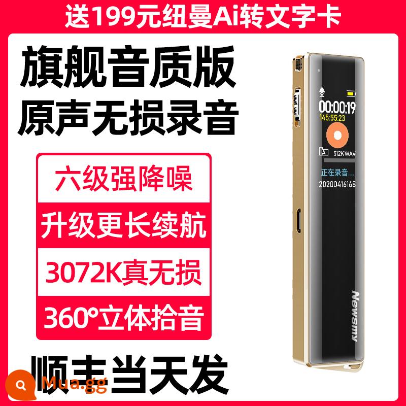 [Không bị biến dạng HD] Bút ghi âm Newman V03 chuyên nghiệp giảm tiếng ồn độ nét cao di động, thời gian chờ cực dài, dung lượng lớn, sinh viên trong lớp có thể chuyển văn bản Ký tự Trung Quốc vật phẩm ghi âm cuộc họp kinh doanh chuyên nghiệp - [Mẫu chất lượng âm thanh hàng đầu] Vàng