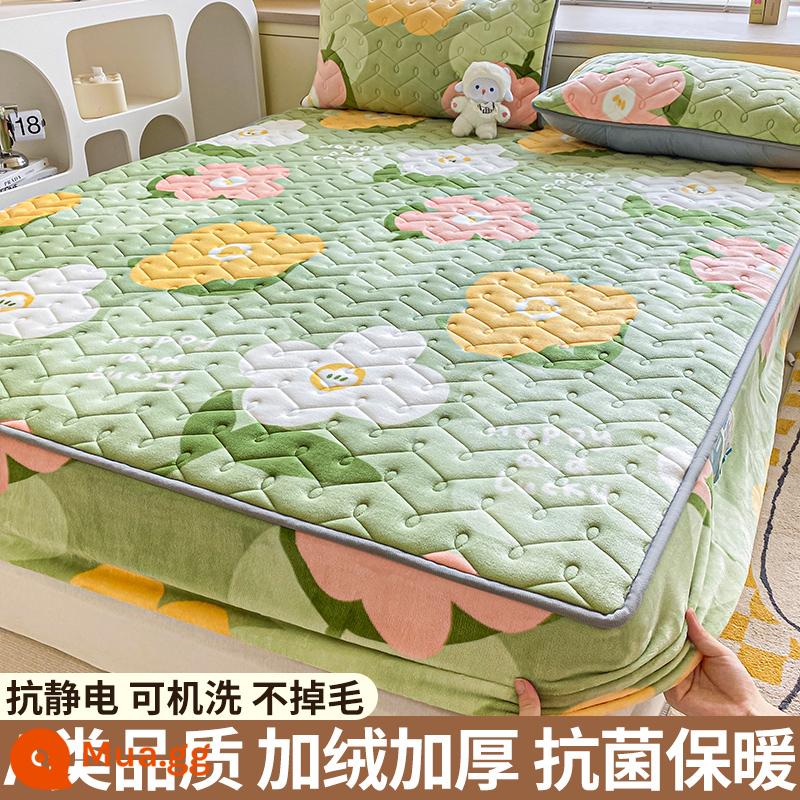 Nhung sữa chần bông trang bị tấm đơn mảnh san hô flannel trải giường mùa đông dày Simmons nệm giường túi trải giường - Thung lũng hoa [Kháng khuẩn loại A/ấm áp và không rụng lông]