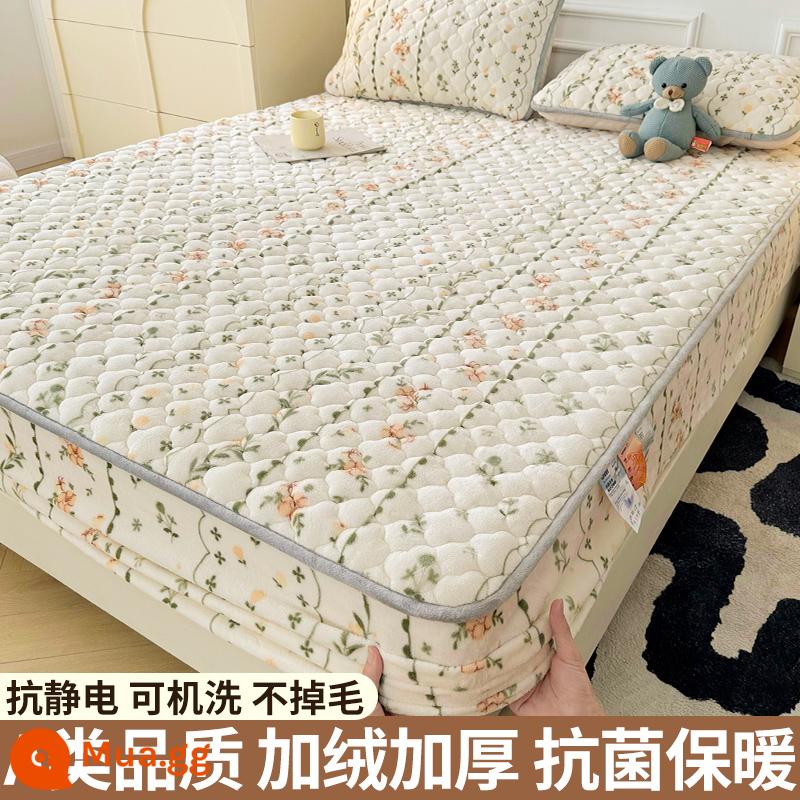 Nhung sữa chần bông trang bị tấm đơn mảnh san hô flannel trải giường mùa đông dày Simmons nệm giường túi trải giường - Hoa nhỏ [Kháng khuẩn loại A/ấm áp và không rụng lông]