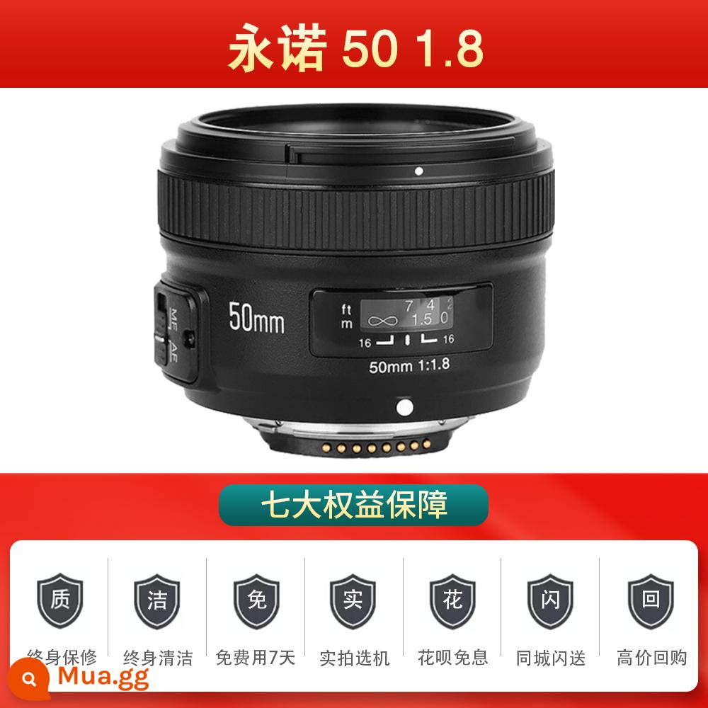 Nikon 50 1.8G/D/50 1.4G/35 1.8G/85 1.8G/ống kính khẩu độ lớn tiêu cự cố định/chân dung được sử dụng - Yongnuo 50 1.8