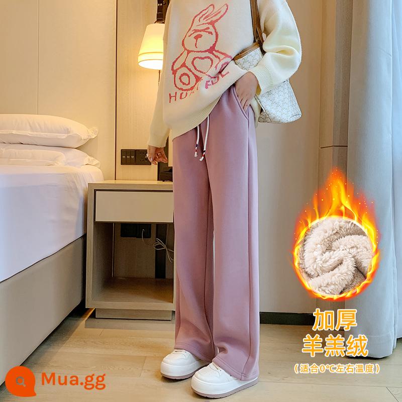 Quần thẳng phụ nữ trong mùa đông cộng với nhung dày Lambsmium cashmere cao eo bên ngoài dọc mặc quần thể thao dày màu xám - Sherpa-Tím