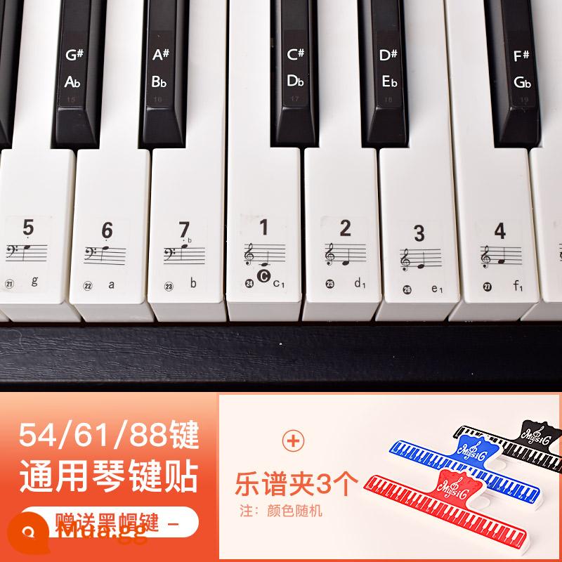 Miếng dán bàn phím đàn piano 88 phím 61 phím 54 phím đàn organ điện tử dành cho người lớn dành cho trẻ em ký hiệu năm dòng ký hiệu đơn giản miếng dán nút ghi chú - Nhãn dán phím trong suốt loại phổ quát + 3 đoạn nhạc mở rộng [Nhãn dán phím đen miễn phí]