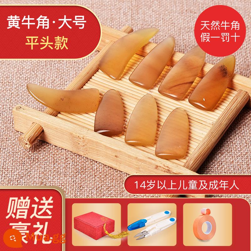 Guzheng Sừng Móng Tay Trẻ Em Người Lớn Hiệu Suất Chuyên Nghiệp Cao Cấp Sừng Tự Nhiên Giáp Rãnh 2 Mặt Vòng Cung Lắc Ngón Tay Hiện Vật - Đầu dẹt sừng lớn màu vàng [hộp đựng + kéo + băng dính miễn phí]