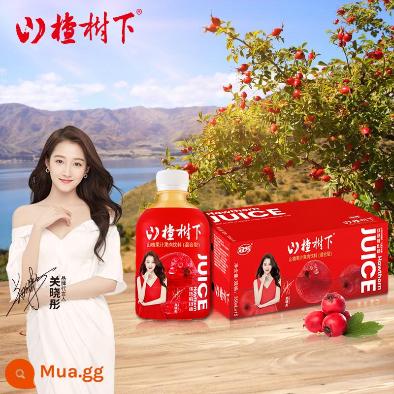 Nước sơn tra táo gai Guanfang (loại hỗn hợp) 350ml*6 chai fullbox date tươi - 350ml*15 chai hương vị nguyên bản