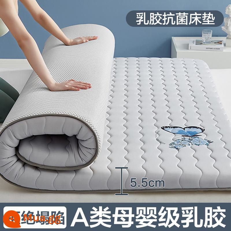 Nệm cao su đệm nhà tatami mat chăn dày ký túc xá sinh viên đơn miếng bọt biển cho thuê đặc biệt mat chăn - (Độ dày: khoảng 5.5cm) Màu xám bướm [Áo công nghiệp với 5 lớp mủ siêu dày + Vải kháng khuẩn, chống mạt loại A]