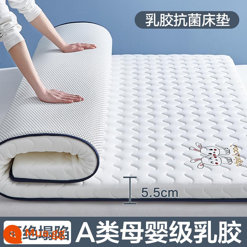 Nệm cao su đệm nhà tatami mat chăn dày ký túc xá sinh viên đơn miếng bọt biển cho thuê đặc biệt mat chăn - (Độ dày khoảng 5.5cm) Thỏ Dễ Thương - Trắng [Áo công nghiệp 5 lớp mủ siêu dày + Vải kháng khuẩn, chống mạt loại A]