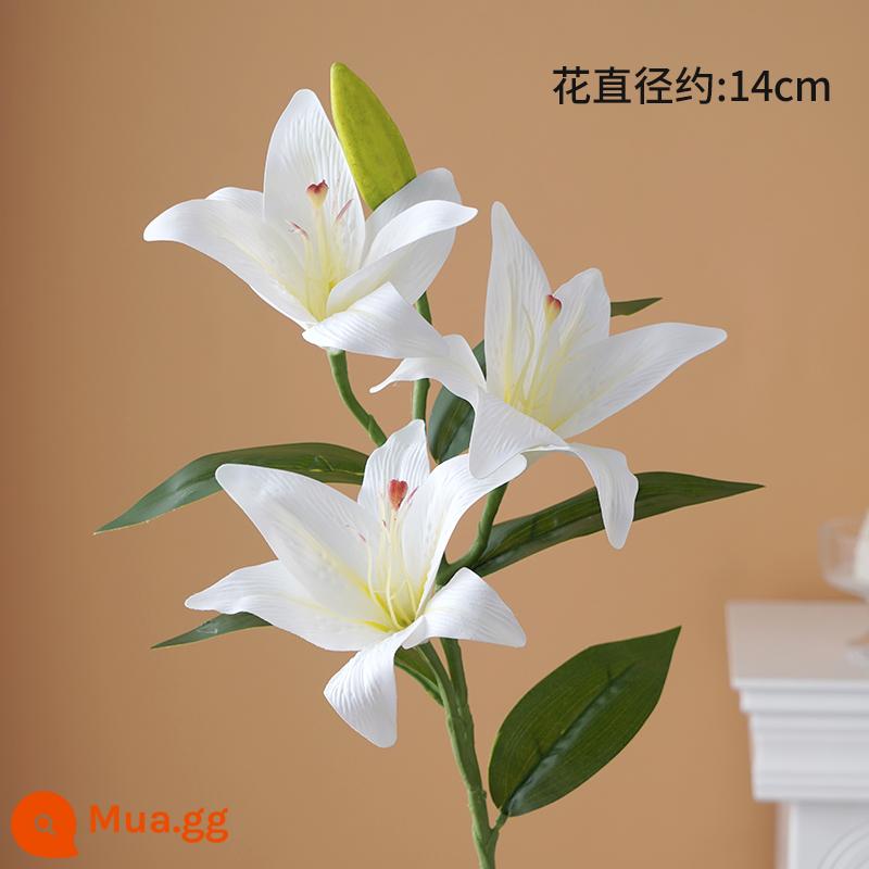 Ngày Của Mẹ Mô Phỏng Tulip Trang Trí Bánh Hoa Hồng Cẩm Chướng Lưới Đỏ Bao Quanh Nàng Tiên Cá Sợi Cắm - hoa huệ nhân tạo màu trắng