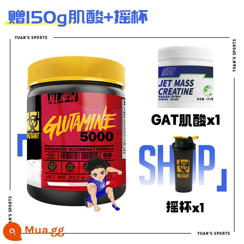 Đột Biến Thế Giới Của Warcraft Leo Glutamine Bột Tập Thể Hình Nam Giảm Đau Nhức Cơ Magic Glutamine Bột - Tặng thêm: GAT Creatine + Shaker Cup