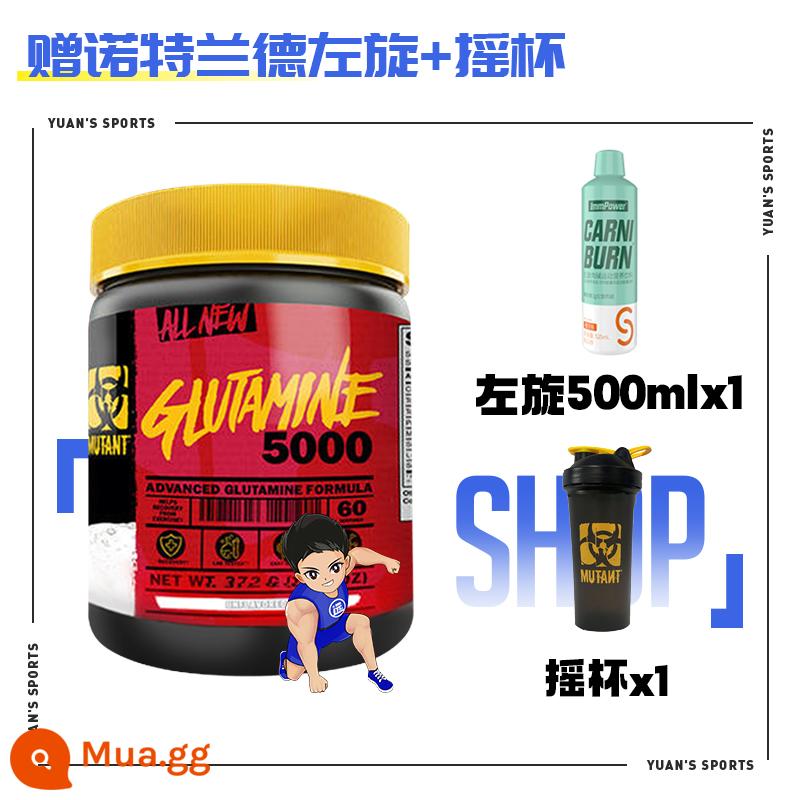 Đột Biến Thế Giới Của Warcraft Leo Glutamine Bột Tập Thể Hình Nam Giảm Đau Nhức Cơ Magic Glutamine Bột - Quà tặng: Knott Tay trái quay + Cốc uống nước