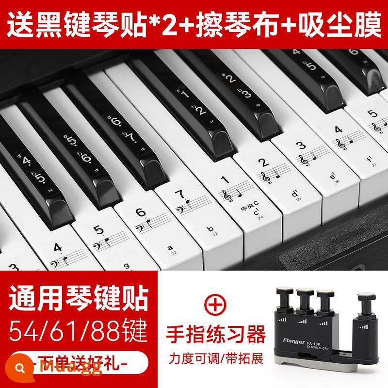 Nano Đàn Piano Miếng Dán Bàn Phím 88/61/54 Phím Bàn Phím Điện Tử Đa Năng Bàn Phím Điện Tử Mới Bắt Đầu Trẻ Em Ký Hiệu Âm Nhạc Note Miếng Dán - Miếng dán phím đàn piano không keo Nano + quà tặng + bấm ngón tay