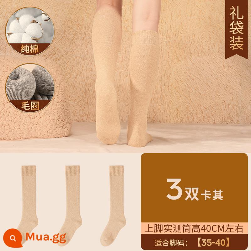 Henngyuanxiang Vớ bông nguyên chất Mùa thu và mùa đông ấm áp và nhung, mùa đông Dothoran Anti -cotton TOCT SOCKS - [Áo cao cấp nữ] dày nhung - 3 đôi kaki