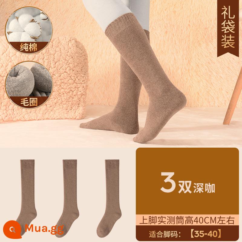 Henngyuanxiang Vớ bông nguyên chất Mùa thu và mùa đông ấm áp và nhung, mùa đông Dothoran Anti -cotton TOCT SOCKS - [Áo cao cấp nữ] nhung dày - 3 đôi cà phê đen