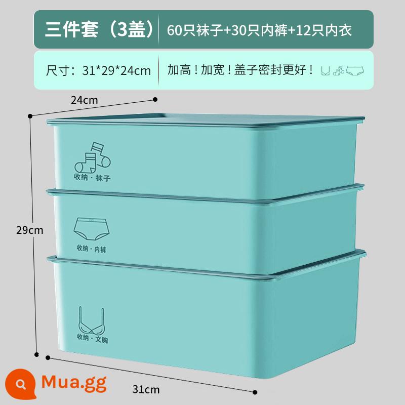 Hộp lưu trữ đồ lót bên trong quần lót tổ chức - Cập nhật mới năm 2022❤ Bộ 3 món dày dặn [áo + quần + hộp tất có nắp] xanh nhạt
