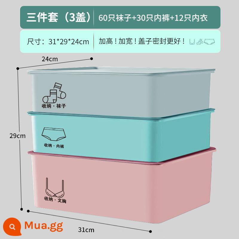 Hộp lưu trữ đồ lót bên trong quần lót tổ chức - Bản nâng cấp mới năm 2022❤ Bộ 3 món dày dặn [[quần lót + quần lót + hộp đựng tất có nắp] gói hỗn hợp