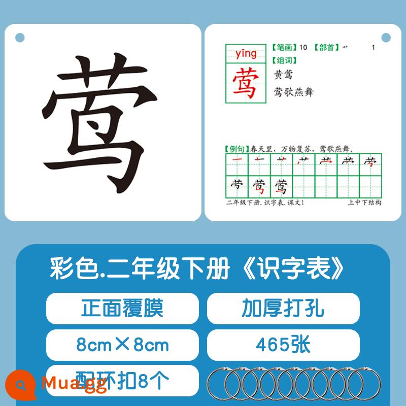 Thẻ học chữ học sinh tiểu học phiên bản giáo dục nhân dân Đồng bộ hóa sách giáo khoa Trung Quốc lớp một tập một tập hai tập hai lớp hai từ mới - Flashcards 465 từ trong tập thứ hai của lớp hai [Phiên bản sách giáo khoa Giáo dục Nhân dân đồng bộ, ép mặt trước, phiên bản màu sau]