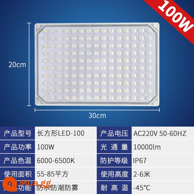 Đèn thư viện lạnh Đèn LED Đèn lồng đóng băng đặc biệt, không thấm nước, nhiệt độ rộng nhiệt độ thấp -Temperative Bop Muff Phòng trang điểm ba đèn chống - Đèn trắng hình chữ nhật 100w độ sáng cao