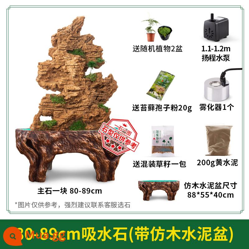 Đá hút nước tự nhiên đá bonsai sân vừa và lớn ao cá nước đá đá gốc hòn non bộ cảnh quan núi đá đồ trang trí nhỏ - Chậu xi măng xám 80-89cm+