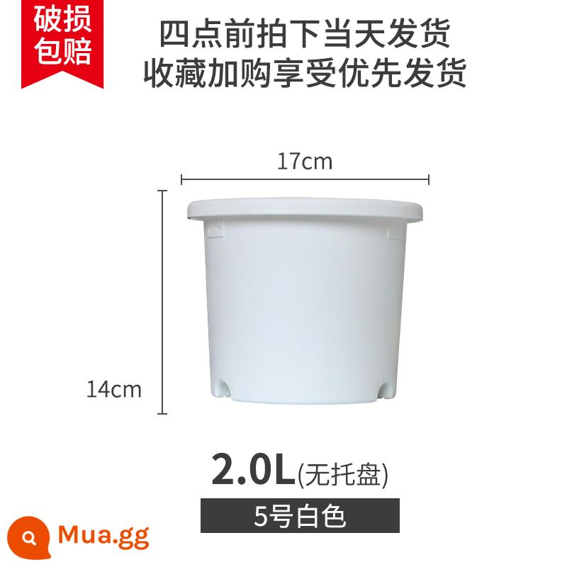 IRISDeepot Bắc Âu điều khiển đơn giản gốc nhựa gallon nồi hoa hồng tú cầu vàng Ge Alice chậu hoa nhựa - Số 5 màu trắng