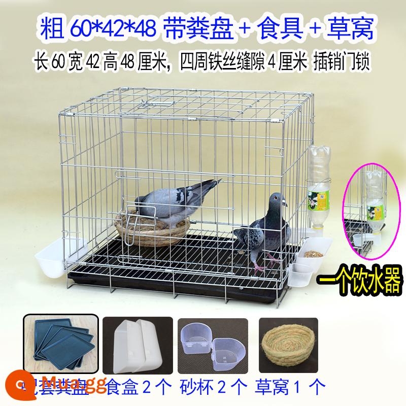 Pigeon lồng lồng sinh sản chim bồ câu cặp lồng giải phóng mặt bằng lồng lớn lớn chăn nuôi chim bồ câu lồng miễn phí vận chuyển lồng chim bồ câu hộ gia đình - Khay đựng phân dày 60*42*48 + bộ đồ ăn + tổ rơm