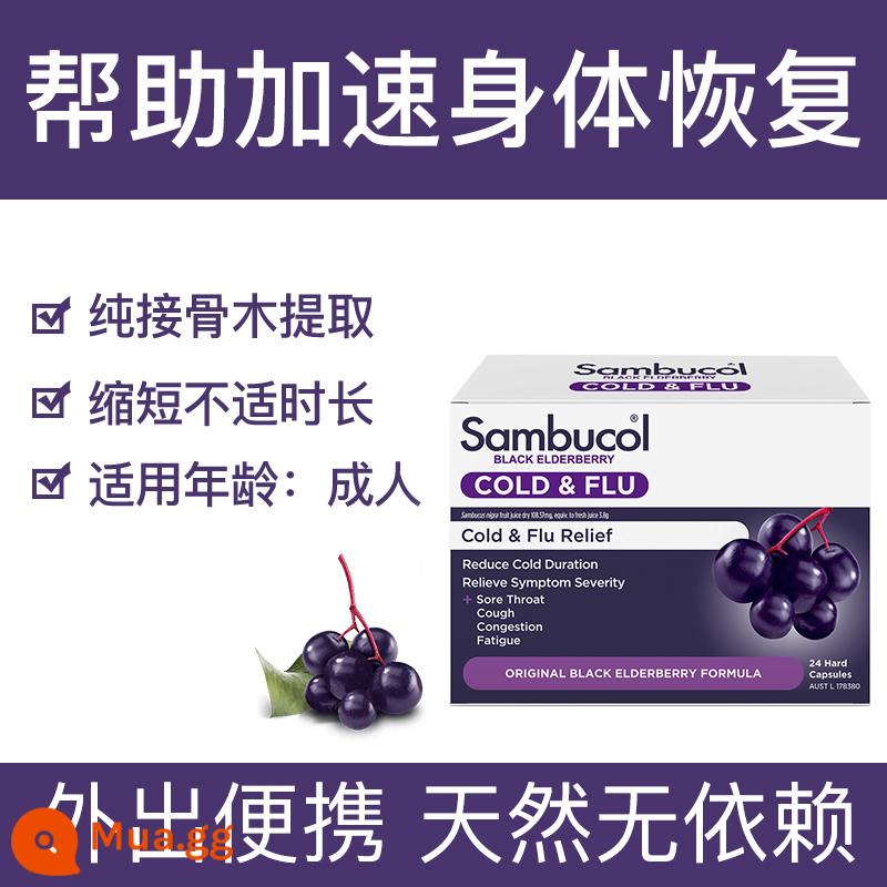 [Tự vận hành] Xi-rô miễn dịch cơm cháy đen Sambucol VC Gói gia đình phổ thông dành cho trẻ em - [Quả cơm cháy đen nguyên chất] Viên nang miễn dịch 24 viên