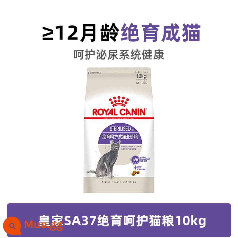 [Tự vận hành] Thức ăn cho mèo Royal i27 mèo trưởng thành 10kg nguyên giá lông mang lông bóng trong nhà 20 viên nhập khẩu dạng hạt - SA37-Thiệt trùng và chăm sóc mèo trưởng thành full price 10kg