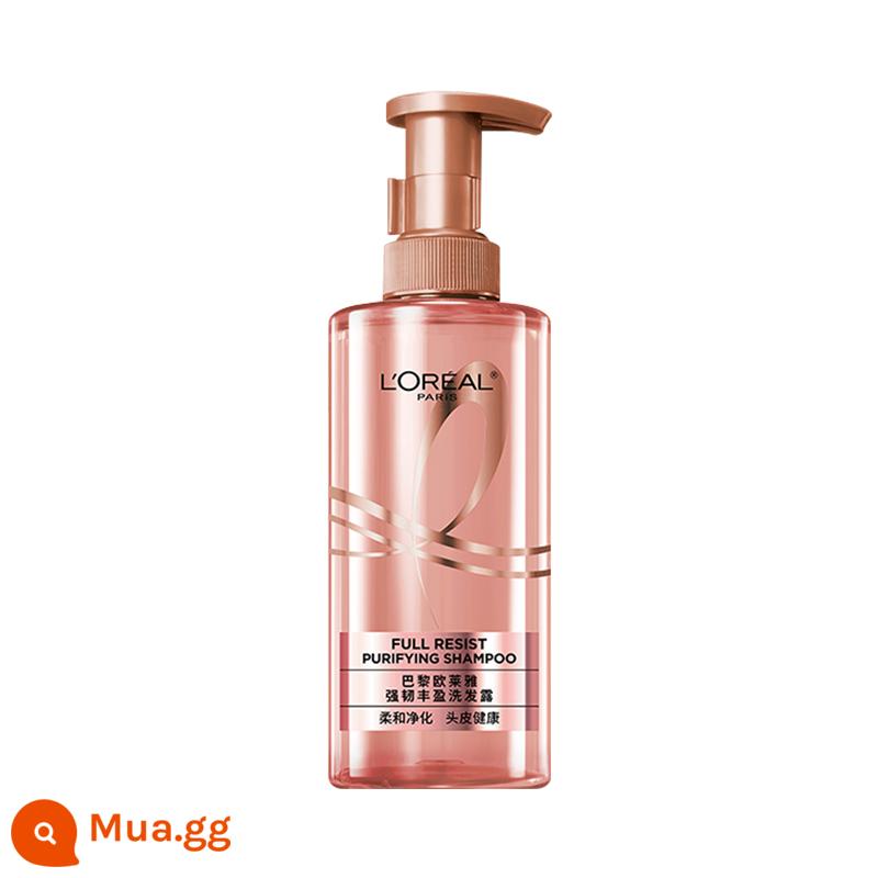 [Tự vận hành] Dầu gội Paris Laiya 440ml Qi Huan Hangshun Kiểm soát dầu dưỡng ẩm mạnh mẽ, mềm mại Chăm sóc tóc gừng - Dầu gội tăng cường và làm mịn