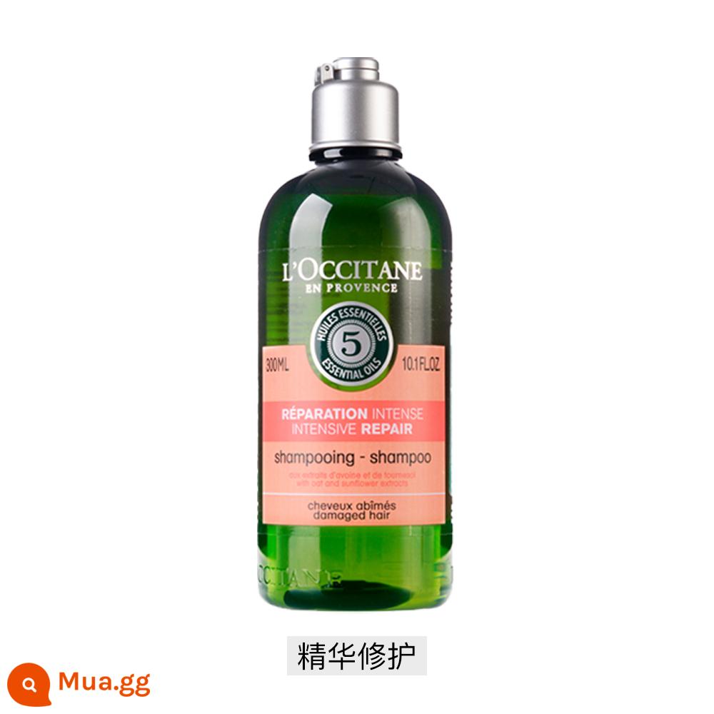 [Tự vận hành] Dầu gội tinh chất thảo dược 5 trong 1 L'Occitane Cân bằng tinh khiết 300ml Kiểm soát dầu và chống gàu phong phú và mịn màng - Dầu Gội Phục Hồi Tinh Chất Thảo Dược 5 Trong 1 (Mã Mới)