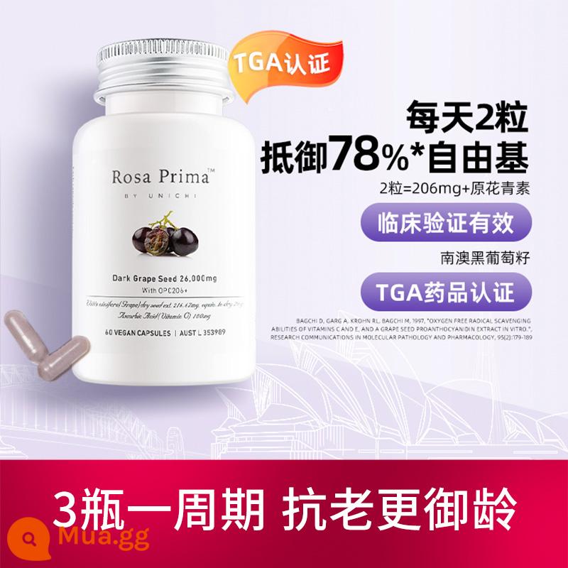 [Tự vận hành] Unichi Hair Bear Biotin Gummies củng cố chân tóc, giúp tóc chắc khỏe và cải thiện tình trạng xoăn cứng - [Trẻ hóa thanh xuân]Viên nang hạt nho