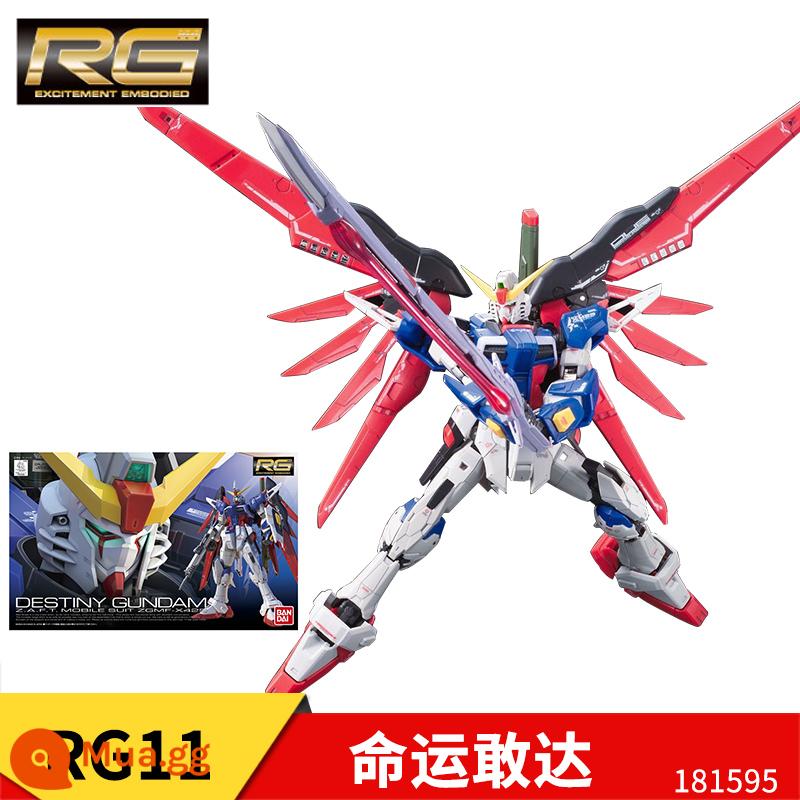 [Tự chạy] Mô hình lắp ráp Bandai Gundam RG 1/144 Strike Freedom Red Heresy Flying Wing Pulse Manatee - Định mệnh RG11