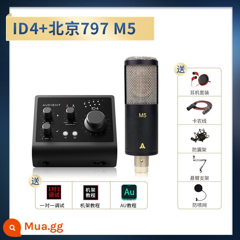 Audient/Orton ID4 ID14 MKII Ghi âm chuyên nghiệp Dubbing Truyền phát trực tiếp Thẻ âm thanh bên ngoài - iD4+Bắc Kinh 797 M5