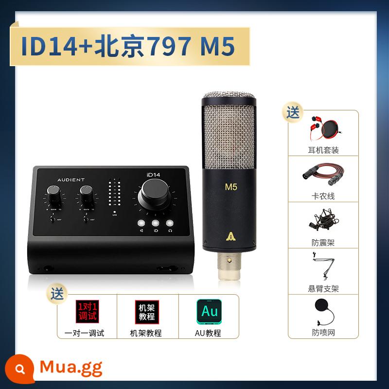 Audient/Orton ID4 ID14 MKII Ghi âm chuyên nghiệp Dubbing Truyền phát trực tiếp Thẻ âm thanh bên ngoài - iD14+Bắc Kinh 797 M5