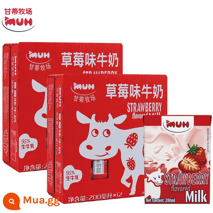 Sữa Ganti Ranch nhập khẩu Đan Mạch MUH socola dâu kết hợp sữa ăn sáng full hộp tùy chọn 2 hộp - Sữa dâu 2 hộp