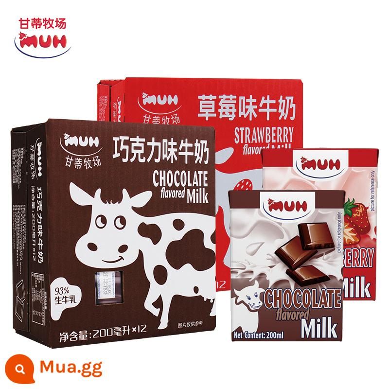 Sữa Ganti Ranch nhập khẩu Đan Mạch MUH socola dâu kết hợp sữa ăn sáng full hộp tùy chọn 2 hộp - 1 hộp sữa dâu + 1 hộp sữa socola