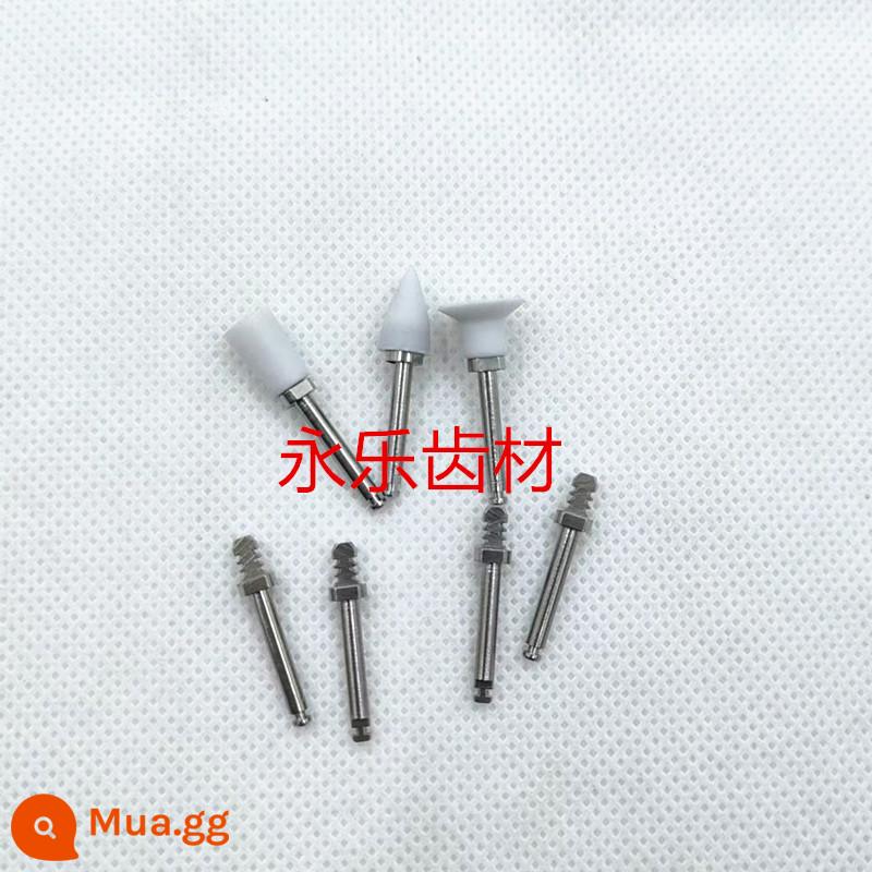 Nha khoa Ion silicon Ion Lithium Ion Selenium Tay cầm Mài và đánh bóng bằng tay cầm Vật liệu mài mòn Nha khoa - Tay cầm ion chất lượng nhập khẩu 3 chiếc