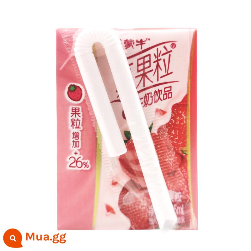 Mengniu Xiaozhenguo 125ml * 40 chai mini gói nhỏ hương vị dâu tây bữa sáng dinh dưỡng cho học sinh uống hộp đầy đủ - Hương dâu 125ml*40 hộp