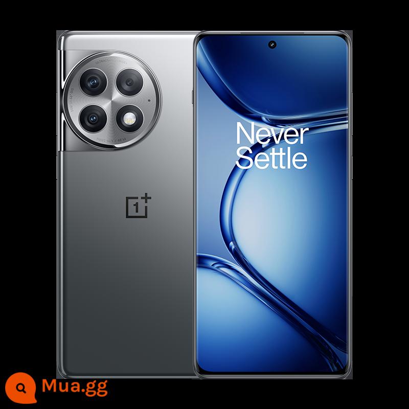 OnePlus/OnePlus Ace 2 Pro - Màu xám titan