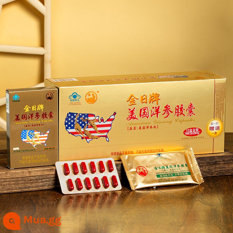 Golden Day American American Ginseng Capsules 0,5g/viên * 12 viên/hộp * 12 hộp Sản phẩm chăm sóc sức khỏe chống mệt mỏi nhân sâm Mỹ - 1 hộp