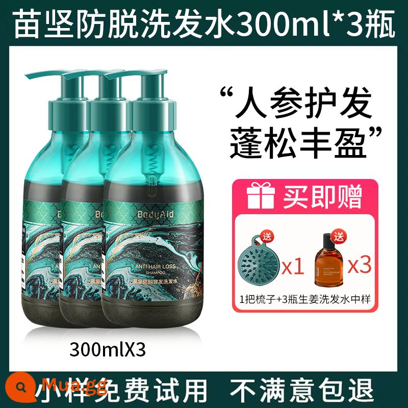 [3 chai] Dầu gội bodyaid bồ kết lá gừng chống rụng tóc bồng bềnh Venus khuyên dùng 315 - Dầu gội chống rụng tóc Miao Jian 300ml*3 chai