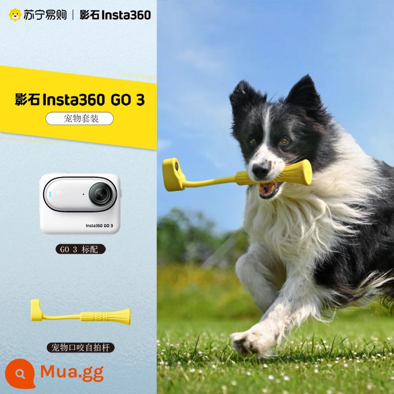 Hàng Mới Về Shadowstone Insta360 GO 3 Thumb Camera Thể Thao Vlog Du Lịch Kỷ Lục Đi Xe Đạp 1953 - gói thú cưng